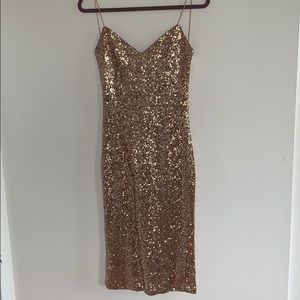 Rose sequins midi dress